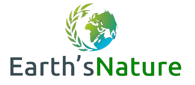 N.Pardhan Vegetable & Fruit Powder Export